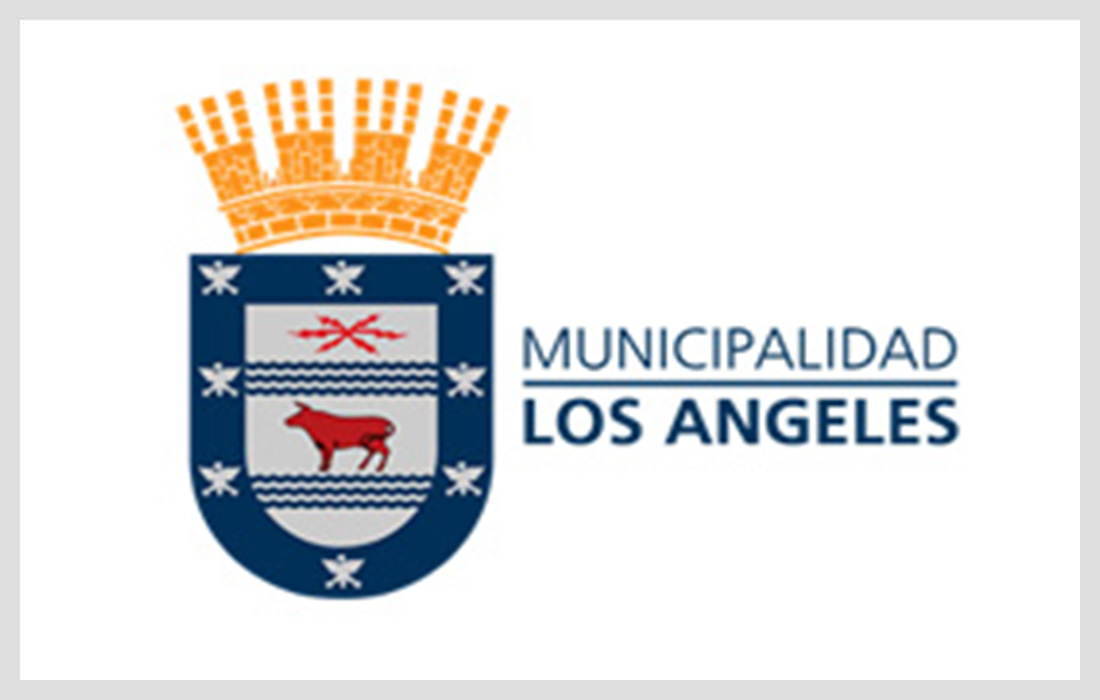 DAEM MUNICIPALIDAD DE LOS ÁNGELES