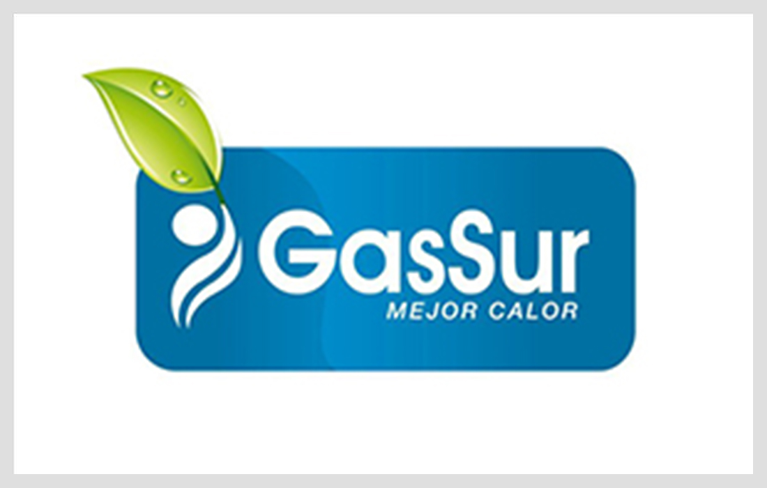 GAS SUR S.A