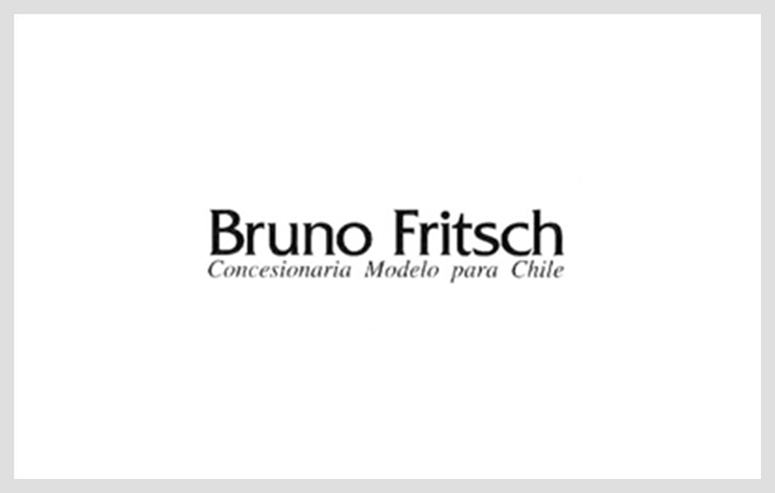 BRUNO FRITSCH