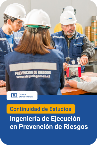 Ingeniería de Ejecución en Prevención de Riesgos