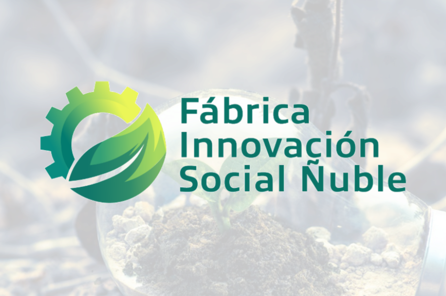 Innovación Social